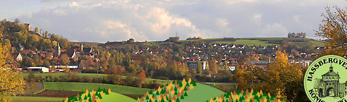 Panorama von Schloßberg zur Wart